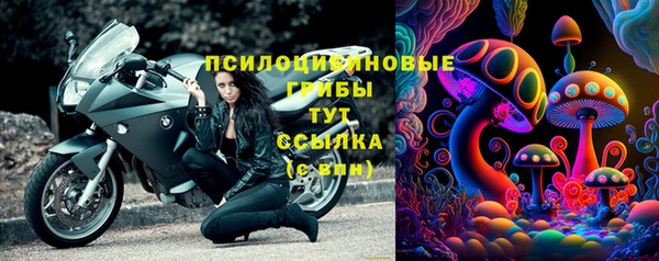 PSILOCYBIN Бугульма
