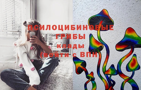 гашиш Бородино